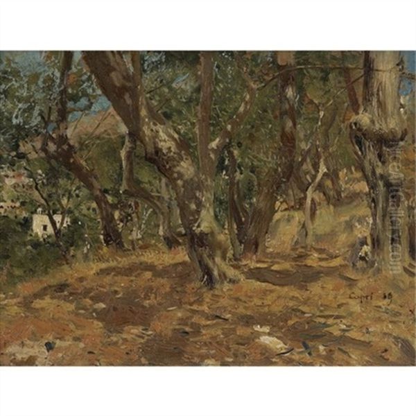 Landscape Study, Capri Oil Painting by Repin Iliya