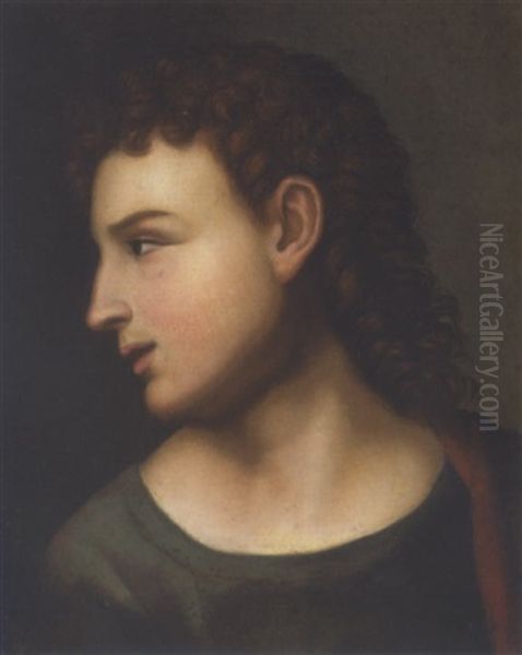 Morkharet Yngling Med Ansigtet Vendt Oil Painting by Gustave Ricard