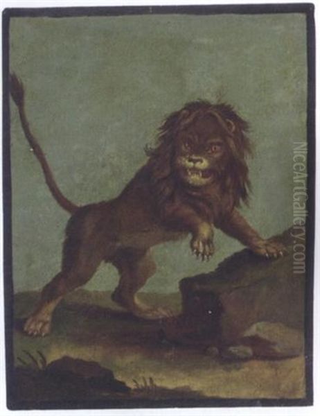 Study Of A Lion Oil Painting by Johann Elias Ridinger or Riedinger