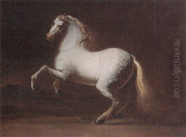 Portrait Eines Schimmels Vor Nachtdunkler Landschaft Oil Painting by Johann Elias Ridinger or Riedinger