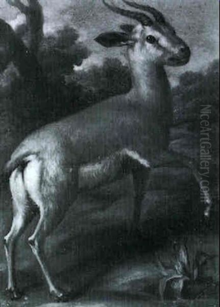 Bergziege In Einer Waldlandschaft Oil Painting by Johann Elias Ridinger or Riedinger