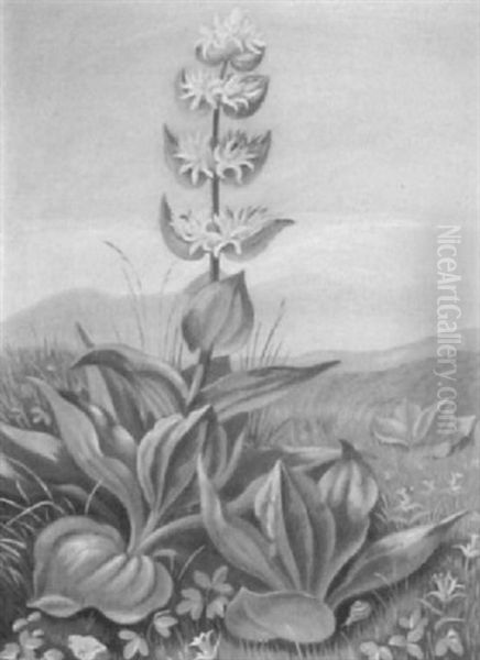 Gelber Enzian Oil Painting by Arthur Riedel