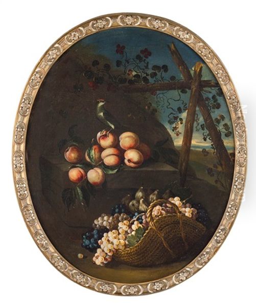 Natura Morta Con Cesto Di Vimini, Uva, Pesche E Cardellino Oil Painting by Marco Antonio Rizzi