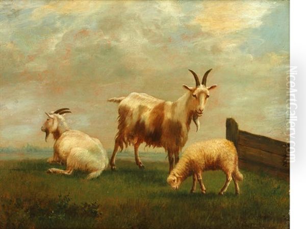 Goats And A Lamb In A Meadow Oil Painting by Louis Marie Dominique Romain Robbe