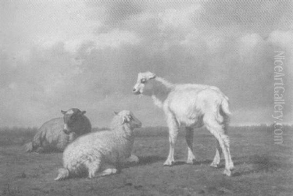 Ziegen In Weiter Wiesenlandschaft Oil Painting by Louis Marie Dominique Romain Robbe