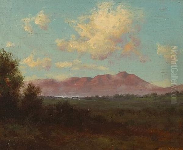 A View Of Mt. Tamalpais With Passing Clouds Oil Painting by Charles Dorman Robinson
