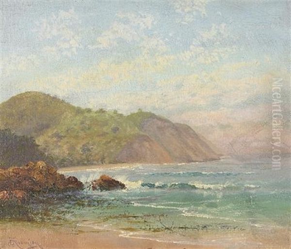 Coastal View Oil Painting by Charles Dorman Robinson