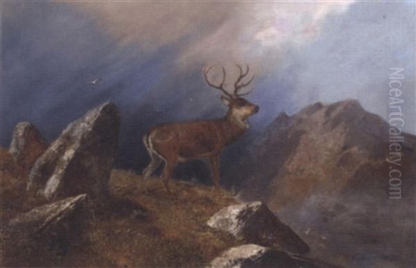 A Stag In A Highland Landscape Oil Painting by Clarence Roe