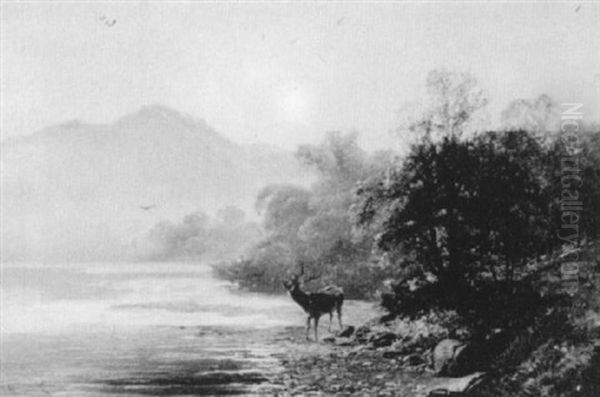 Stag By The River Oil Painting by Clarence Roe
