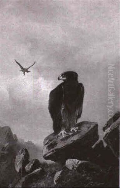 Steinadler Im Gebirge Oil Painting by Clarence Roe