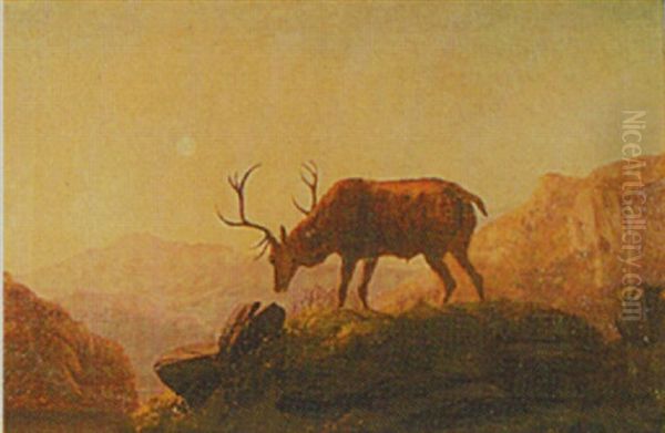 Stag On A Hillside At Dusk Oil Painting by Robert Henry Roe
