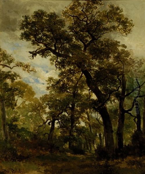 Woods Near Oosterbeek Oil Painting by Willem Roelofs