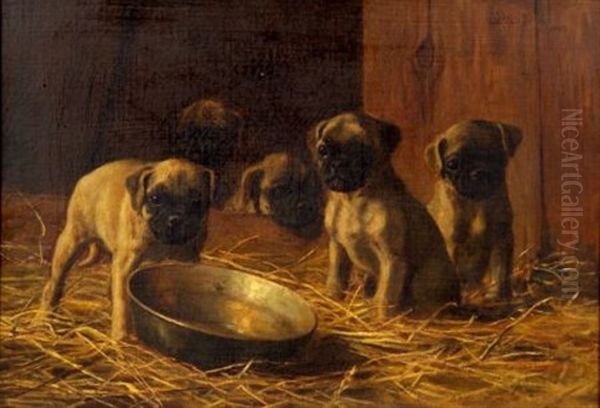 Five Pug Puppies Oil Painting by Franklin Whiting Rogers