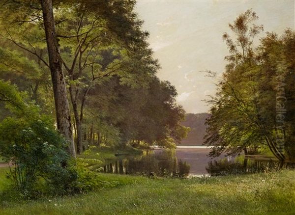 Sommerliche Seenlandschaft Oil Painting by Frederik Rohde