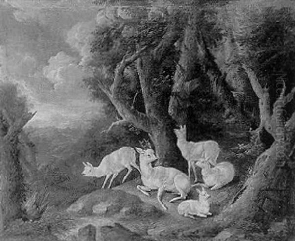 Weisses Hirschrudel Auf Einer Waldlichtung Oil Painting by Johann Melchior Roos