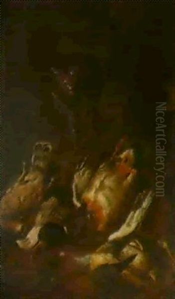 Erlegtes Federwild Mit Einer Katze Oil Painting by Johann Melchior Roos