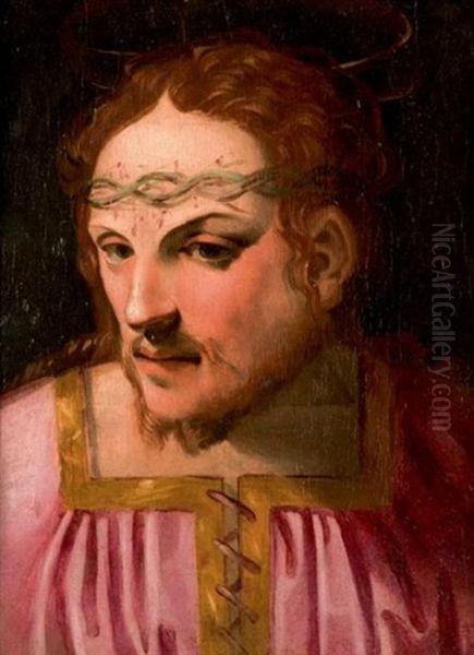 Le Christ A La Couronne D'epines Oil Painting by Rancesco De' Rossi (see Salviati, Cecchino Del)