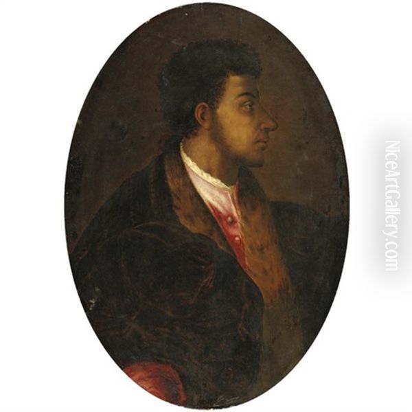 Ritratto Di Alessandro De Medici Oil Painting by Rancesco De' Rossi (see Salviati, Cecchino Del)