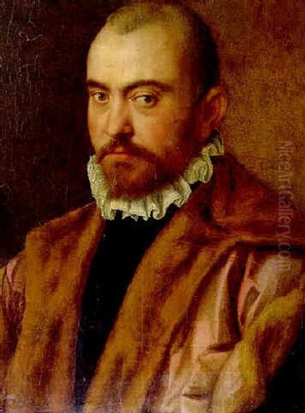 Bildnis Eines Mannes Oil Painting by Rancesco De' Rossi (see Salviati, Cecchino Del)