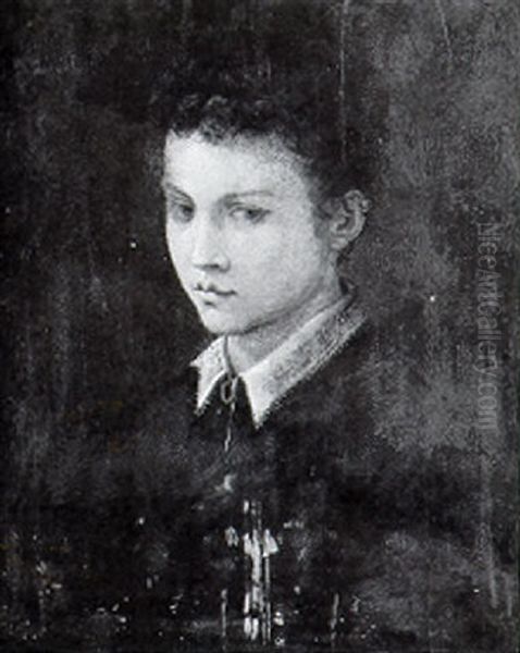 Portrait Of A Young Boy Oil Painting by Rancesco De' Rossi (see Salviati, Cecchino Del)