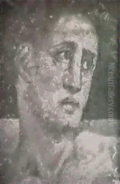 A Head Of A Man Oil Painting by Rancesco De' Rossi (see Salviati, Cecchino Del)