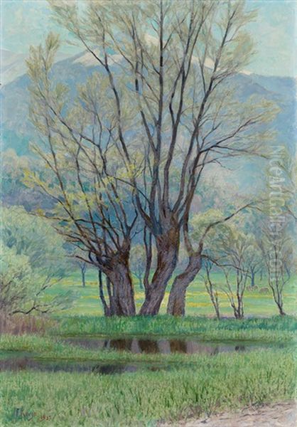 Rhoneebene Mit Tumpel Und Weidenden Schafen Oil Painting by Frederic Rouge