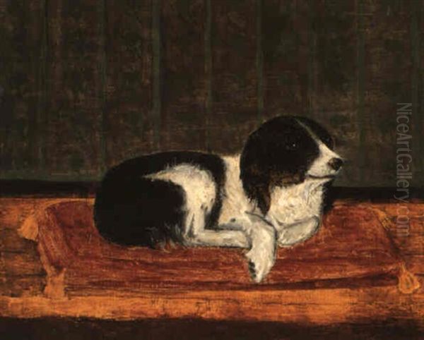 Chien Couche Sur Son Coussin Oil Painting by Henri Julien Rousseau