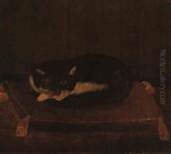 Chat Couche Sur Son Coussin Oil Painting by Henri Julien Rousseau