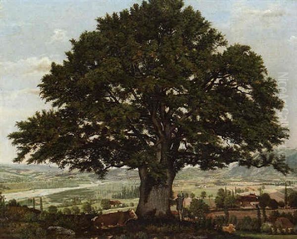 La Plaine D'annecy-chene Le Veteran Des Alpes Oil Painting by Jean-Jacques Rousseau