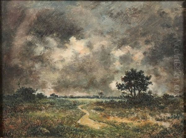 Paysage Orageux (sologne Ou Berry ?) Oil Painting by Theodore Rousseau