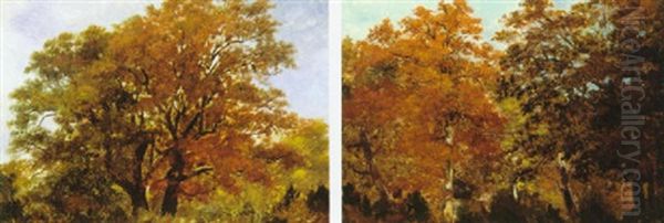 Sous Bois Oil Painting by Theodore Rousseau