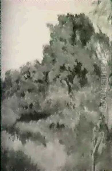 Paysage De L'etang-la-ville Oil Painting by Ker Xavier Roussel