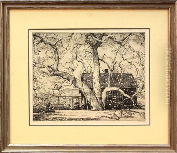 Sycamore Oil Painting by Cornelis J. Botke