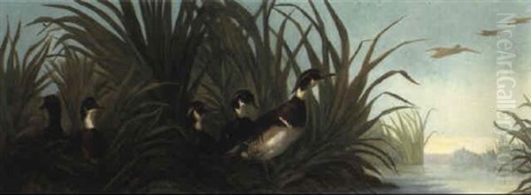 Carolinas By A Lake Oil Painting by Isidore De Rudder