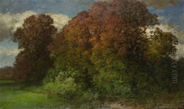 Waldchen Im Fruhherbst Oil Painting by Traugott Hermann Ruedisuehli