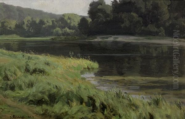 Der Berliner Schlachtensee Oil Painting by Johannes Rudolphi