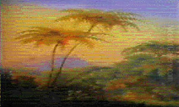 Farn Aus Den Brasilianischen Urwalden Oil Painting by Johann Moritz Rugendas