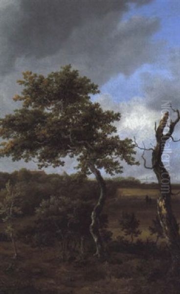 Waldlandschaft Mit Hausern Im Hintergrund Oil Painting by Jacob Van Ruisdael