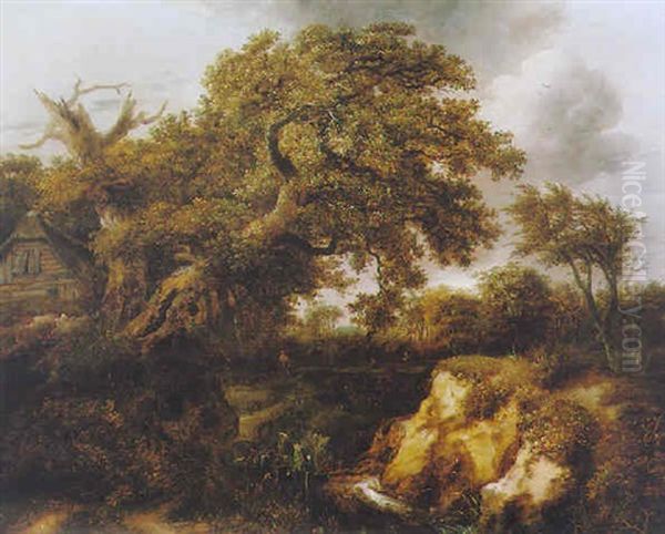 Wooded Landscape With A Cottage And Travellers On A Path Oil Painting by Jacob Van Ruisdael