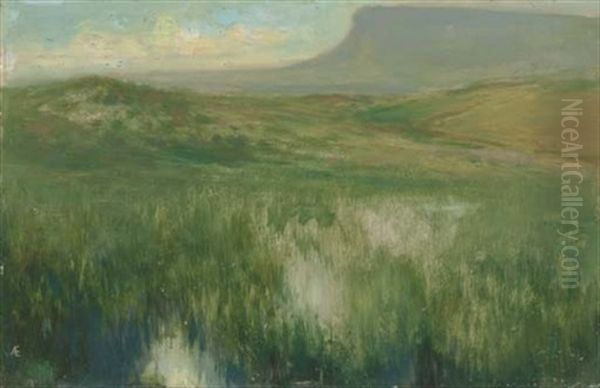 The Starling Lake Oil Painting by George William Russell