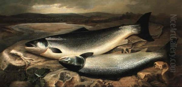 Salmon On A River Bank Oil Painting by John Bucknell Russell