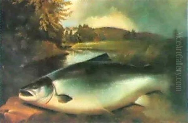 A Life Size Fresh-run Cock Salmon Of 42 1/2 Pounds On       Lord Banff's Rock On The Banksof The Deveron Oil Painting by John Bucknell Russell