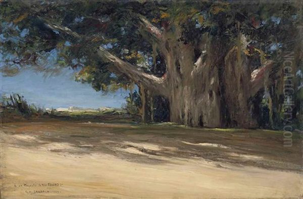 Les Sycomores Du Vieux Caire (old Cairo's Sycamore Trees) Oil Painting by Georges Hanna Sabbagh