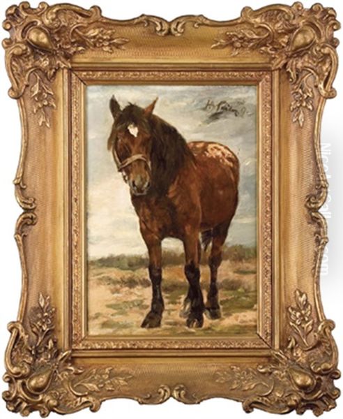 Brauner Hannoveraner Mit Weiser Blesse Oil Painting by Josef Andreas Sailer