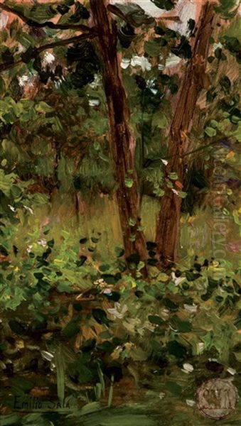 Jardin Florido Oil Painting by Emilio Sala y Frances