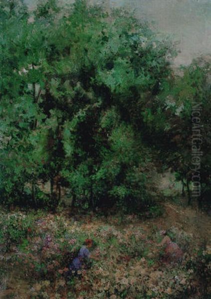 Recogiendi Flores En El Bosque Oil Painting by Emilio Sala y Frances