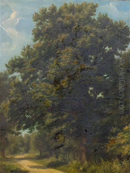 Path With A Figure In A Forest Clearing Oil Painting by Friedrich Salathe
