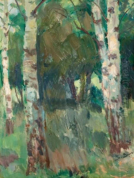 Birch Trees Oil Painting by Santeri Salokivi