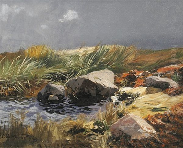 Landschaft Mit Felsigem Gewasser Oil Painting by Carl Saltzmann