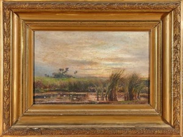 Cuba, Marre Avec Nenuphare Devant Une Ferme Avec Palmiers Oil Painting by Valentin Sanz Carta